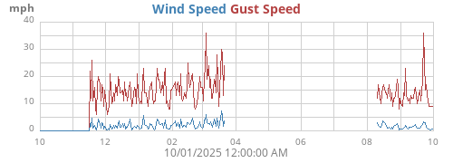 yearwind